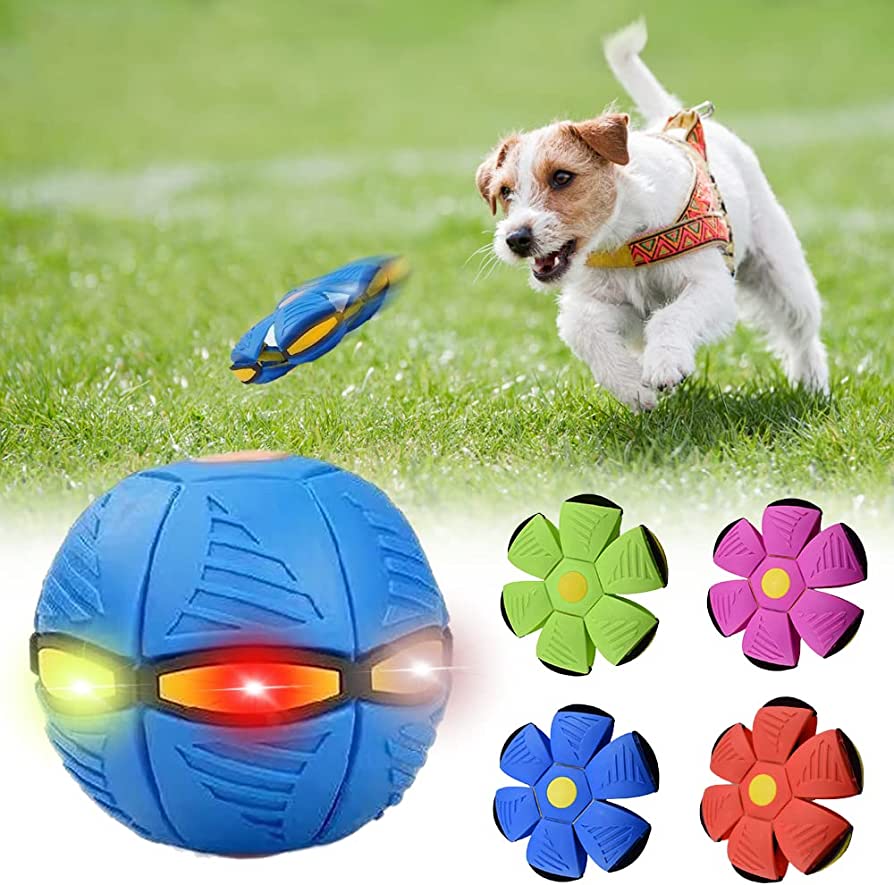 Whisk & Walk™ Dog Frisbee