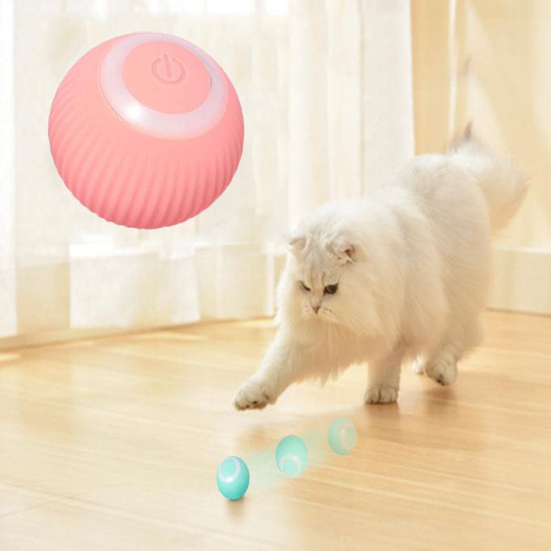 Whisk & Walk™ Interactive Ball