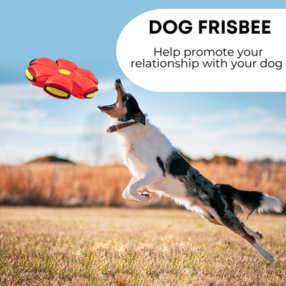 Whisk & Walk™ Dog Frisbee