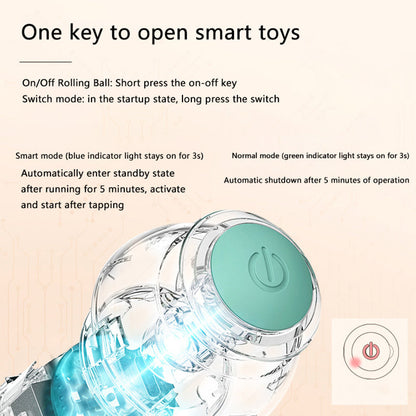 Whisk & Walk™  Interactive Ball