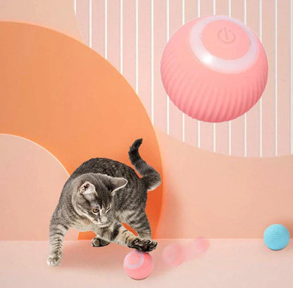 Whisk & Walk™  Interactive Ball