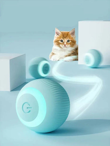 Whisk & Walk™  Interactive Ball