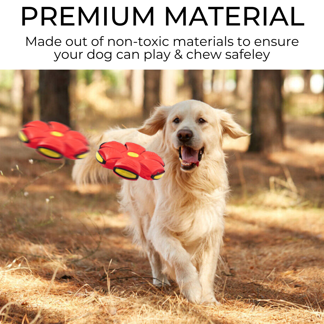 Whisk & Walk™ Dog Frisbee