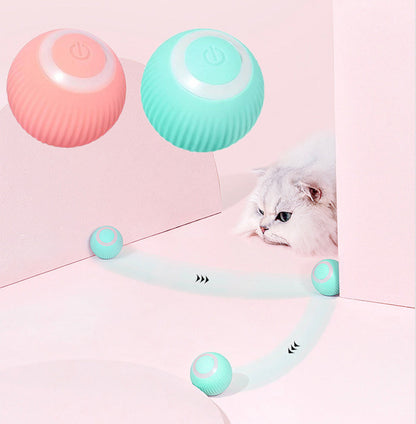 Whisk & Walk™  Interactive Ball